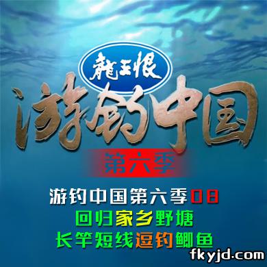 游钓中国第六季08 回归家乡野塘，长竿短线逗钓鲫鱼 [视频]