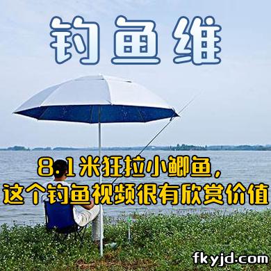 钓鱼维 8.1米狂拉小鲫鱼，这个钓鱼视频很有欣赏价值 [视频]