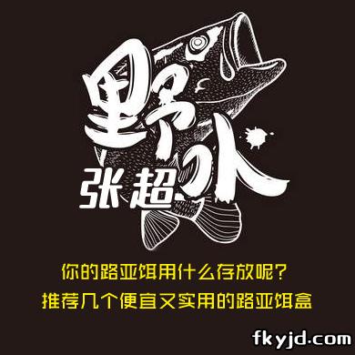 野水张超 你的路亚饵用什么存放呢？ 推荐几个便宜又实用的路亚饵盒