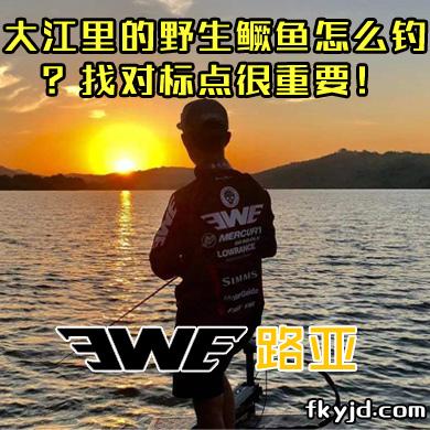 EWE路亚 大江里的野生鳜鱼怎么钓？找对标点很重要！