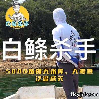 白条杀手 5000亩的大水库，大鲫鱼泛滥成灾