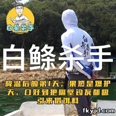 白条杀手 降温后的第1天，果然是爆护天，口好到把隔壁钓友都吸引来借饵料