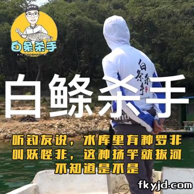 白条杀手 听钓友说，水库里有种罗非叫妖怪非，这种扬竿就拔河不知道是不是