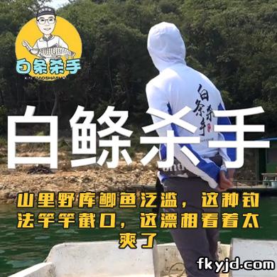 白条杀手 山里野库鲫鱼泛滥，这种钓法竿竿截口，这漂相看着太爽了