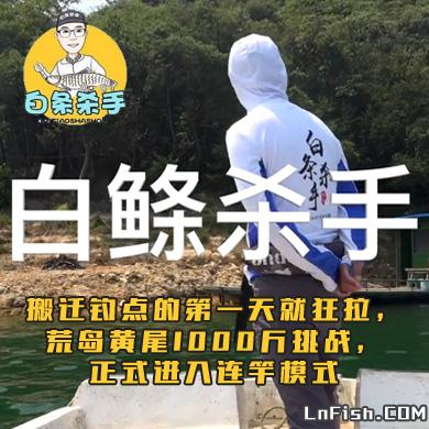 白条杀手 搬迁钓点的第一天就狂拉，荒岛黄尾1000斤挑战，正式进入连竿模式