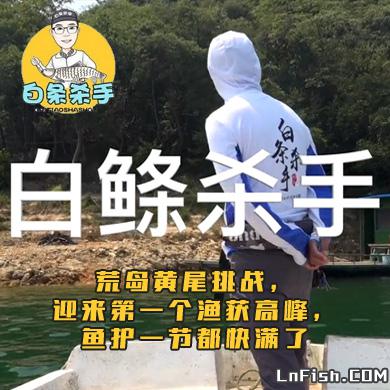 白条杀手 荒岛黄尾挑战，迎来第一个渔获高峰，鱼护一节都快满了