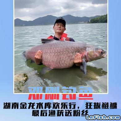 邓刚钓鱼 湖南金龙水库欢乐行，狂拔鲢鳙最后渔获送粉丝