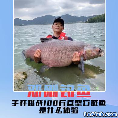 邓刚钓鱼 手杆挑战100斤巨型石斑鱼是什么体验