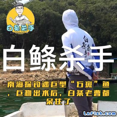 白条杀手 南海探钓遇巨型“石斑”鱼，巨物出水后，白条老曹都呆住了