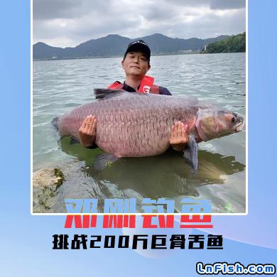 邓刚钓鱼 挑战200斤巨骨舌鱼
